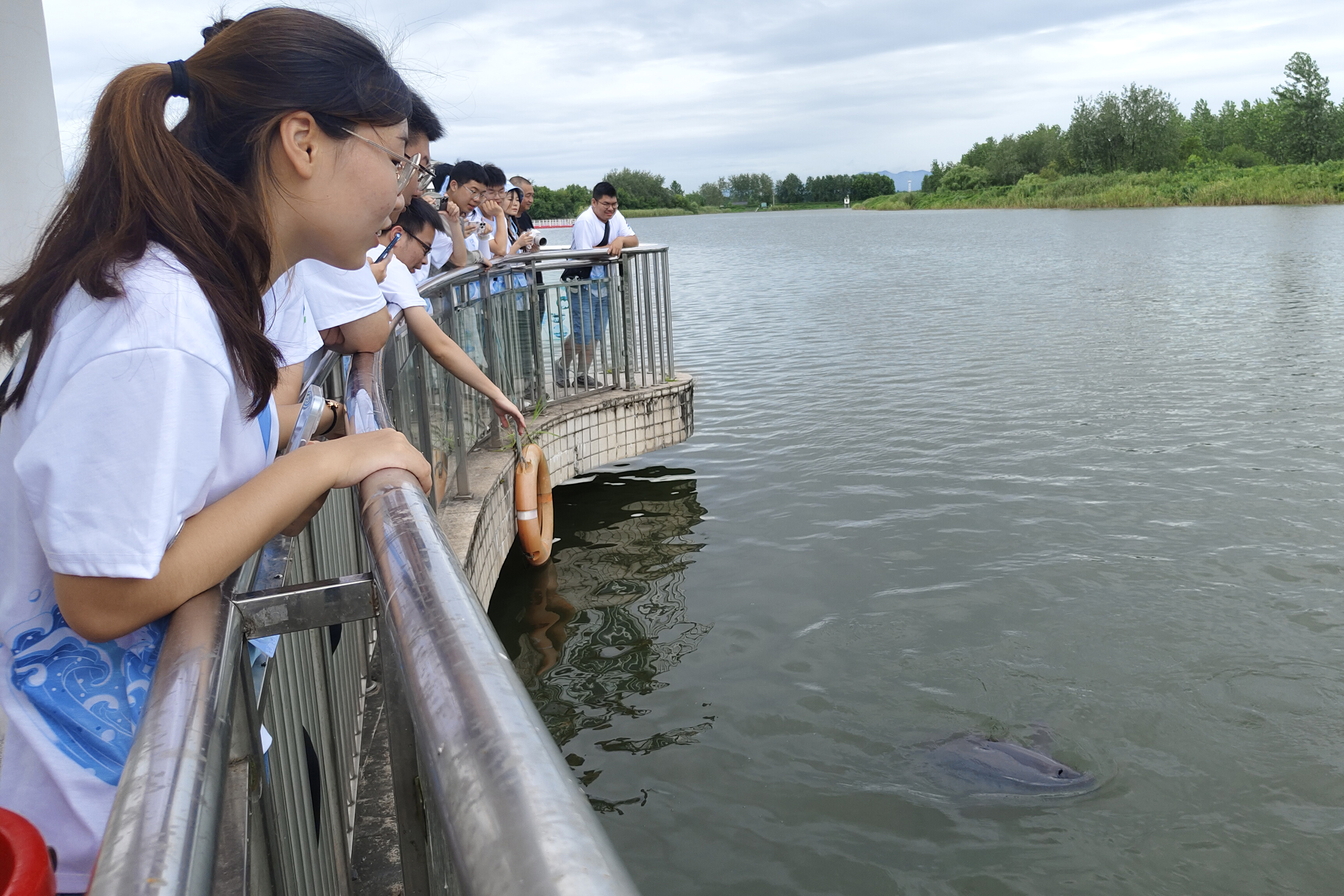 1722648739154443.jpg 04.jpg